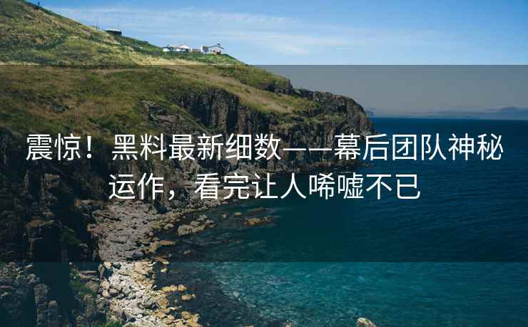 震惊！黑料最新细数——幕后团队神秘运作，看完让人唏嘘不已