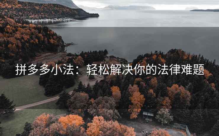 拼多多小法：轻松解决你的法律难题