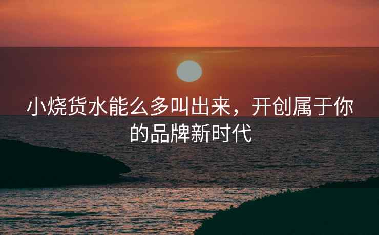 小烧货水能么多叫出来，开创属于你的品牌新时代